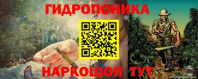 ПСИЛОЦИБИНОВЫЕ ГРИБЫ Кимры