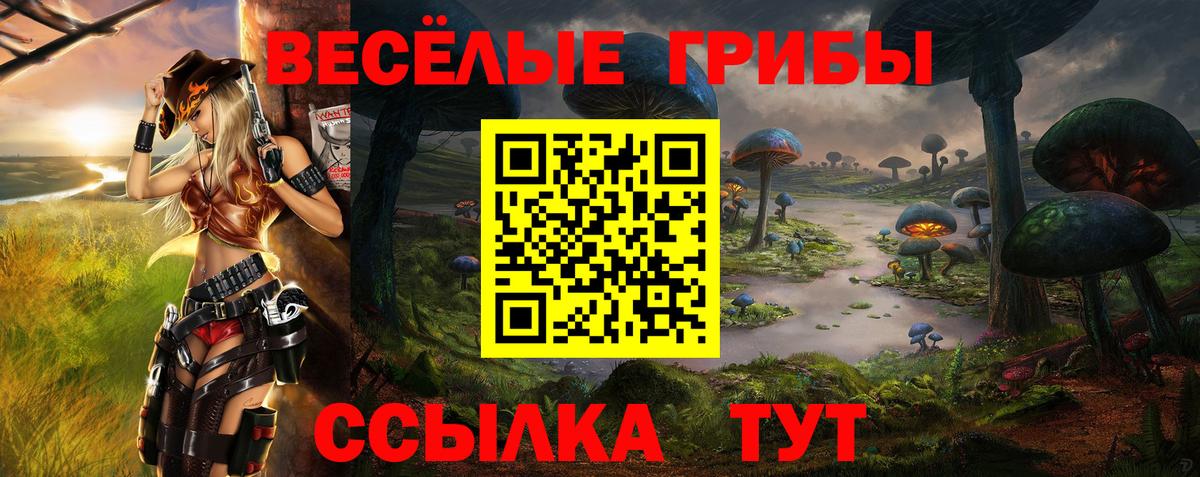 Галлюциногенные грибы Psilocybine cubensis Лениногорск
