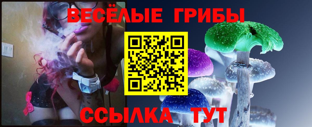 COCAIN Лениногорск