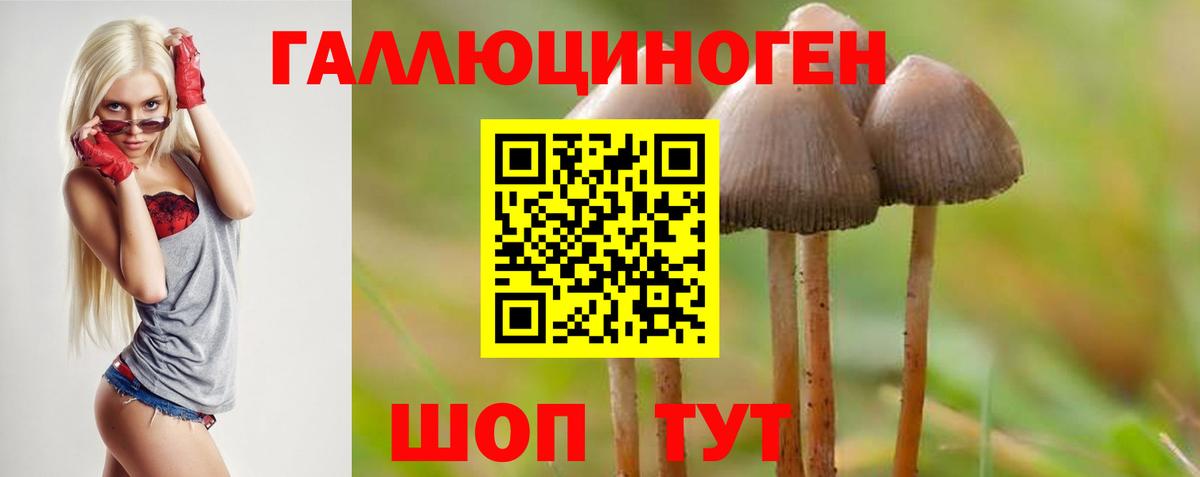 Лениногорск  Псилоцибиновые грибы мухоморы  Псилоцибиновые грибы Magic Shrooms  Вход с VPN 